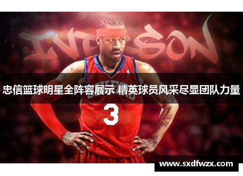 忠信篮球明星全阵容展示 精英球员风采尽显团队力量