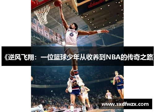 《逆风飞翔：一位篮球少年从收养到NBA的传奇之路》