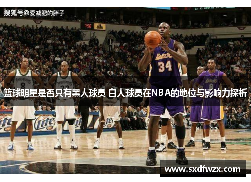 篮球明星是否只有黑人球员 白人球员在NBA的地位与影响力探析