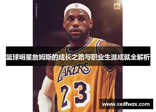 篮球明星詹姆斯的成长之路与职业生涯成就全解析